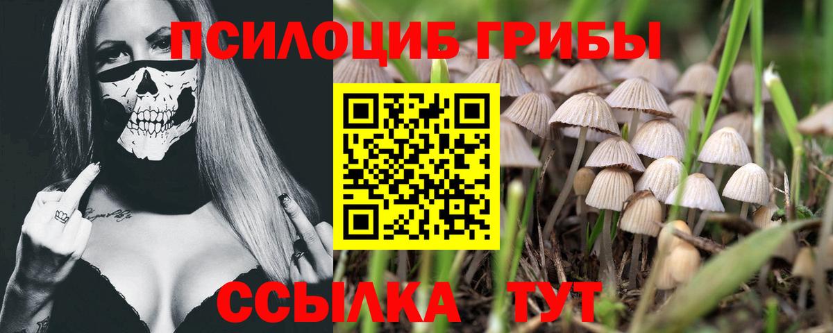 Ревда  Псилоцибиновые грибы мицелий  Вход с VPN 